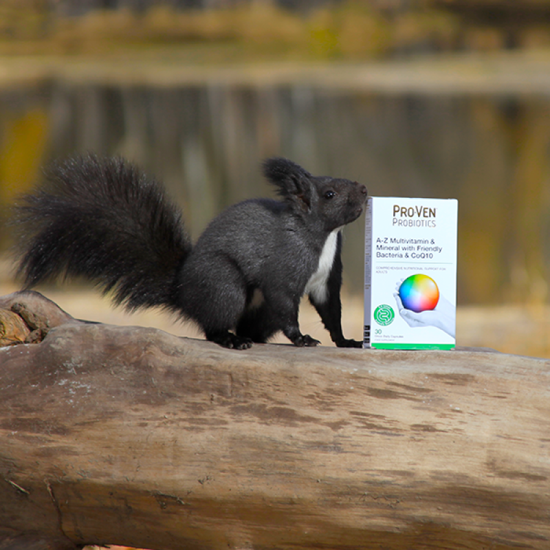 Ашигтай бактери & CoQ10 агуулсан А-Z Мультивитамин эрдэс