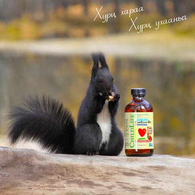 Cod Liver Oil