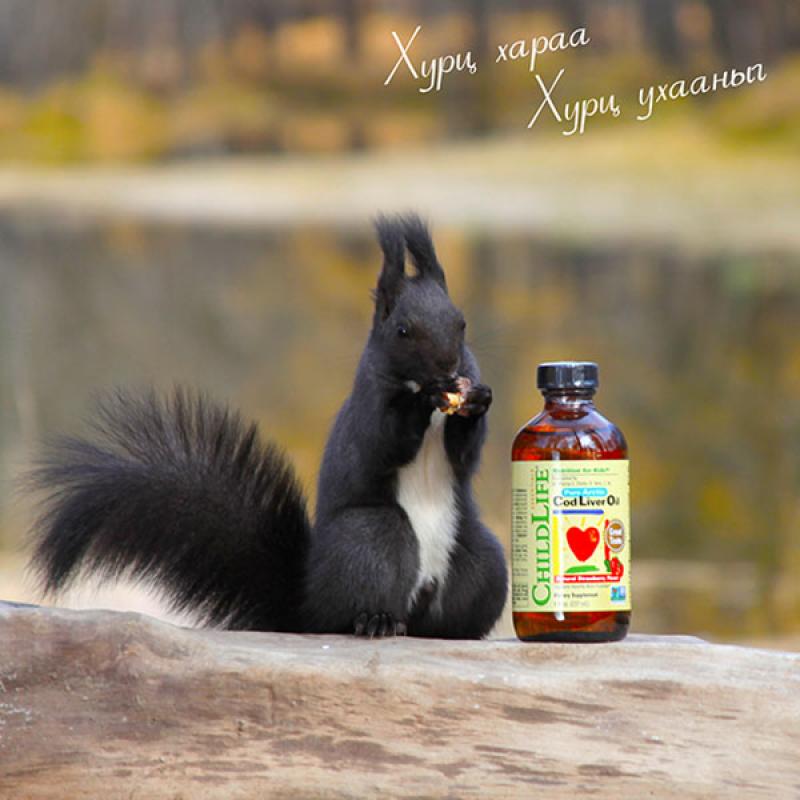 Cod Liver Oil