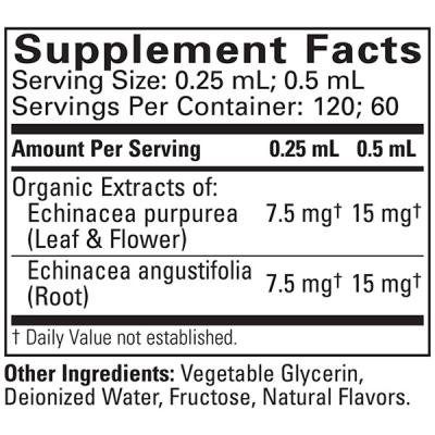 Echinacea