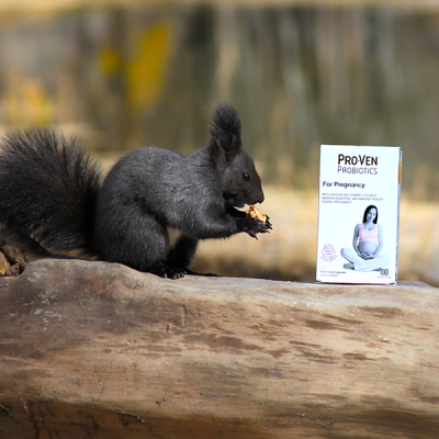 Жирэмсний Пробиотик