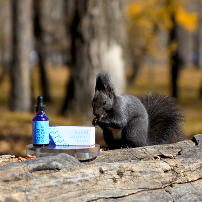 Шингэн Хүчилтөрөгчийн бэлдмэл